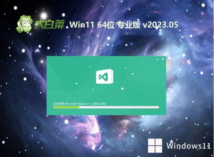 大白菜 Ghost Win11 64位绿色特快版 v2023.05
