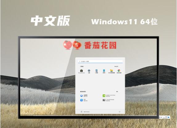 番茄花园 Ghost Win11 64位精简装机版v2023.06