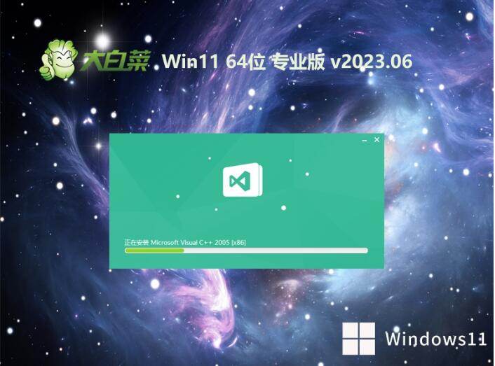 大白菜win11 64位特快专业版v2023.06