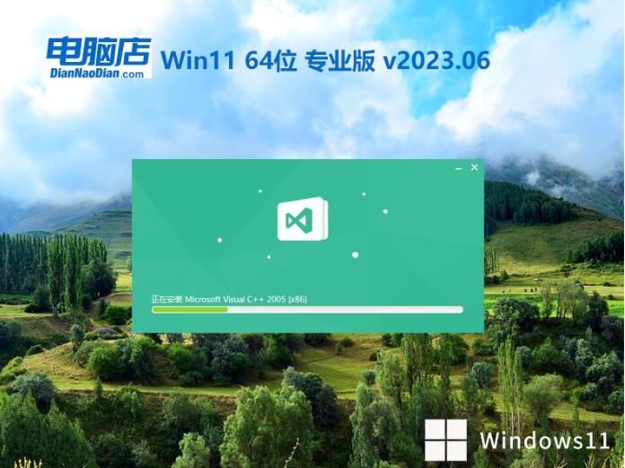 电脑店 Ghost Win11 64位专业高效版 v2023.06