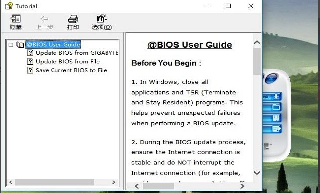 bios