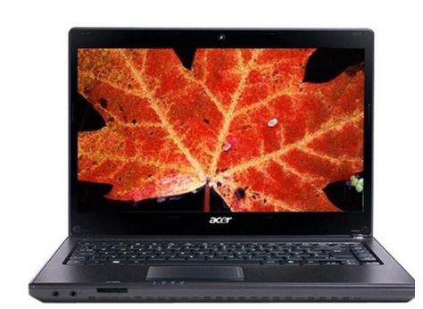 acer