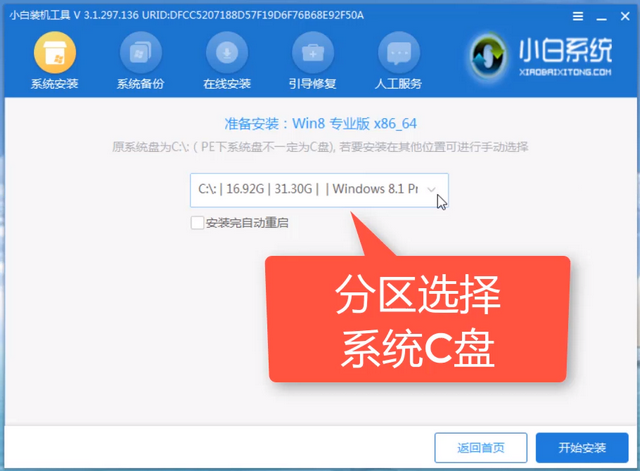 小白